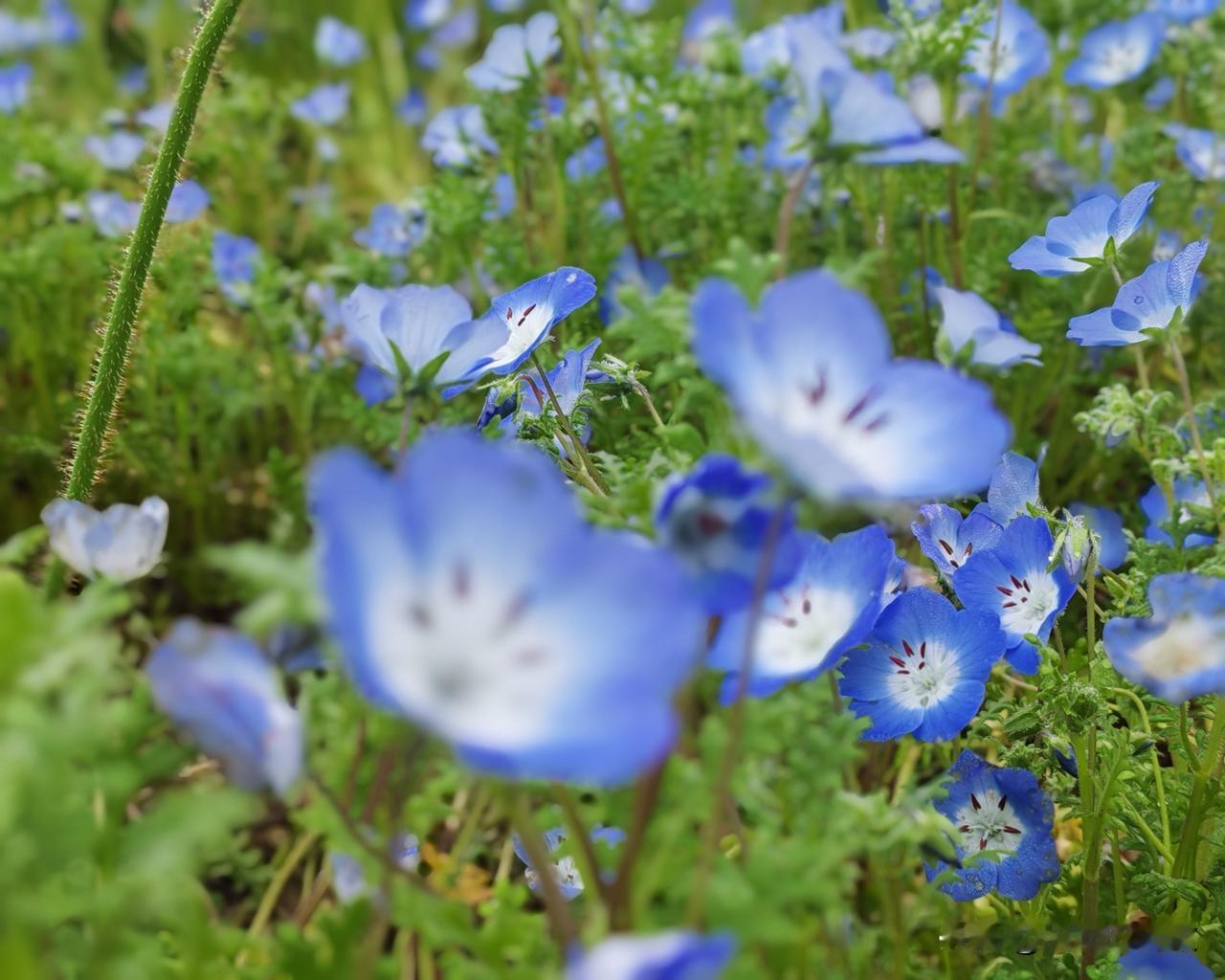 广东旅居归来，且看郴州。

近日，我从广东阳江返回郴州，恰逢中央电视台焦点访谈栏