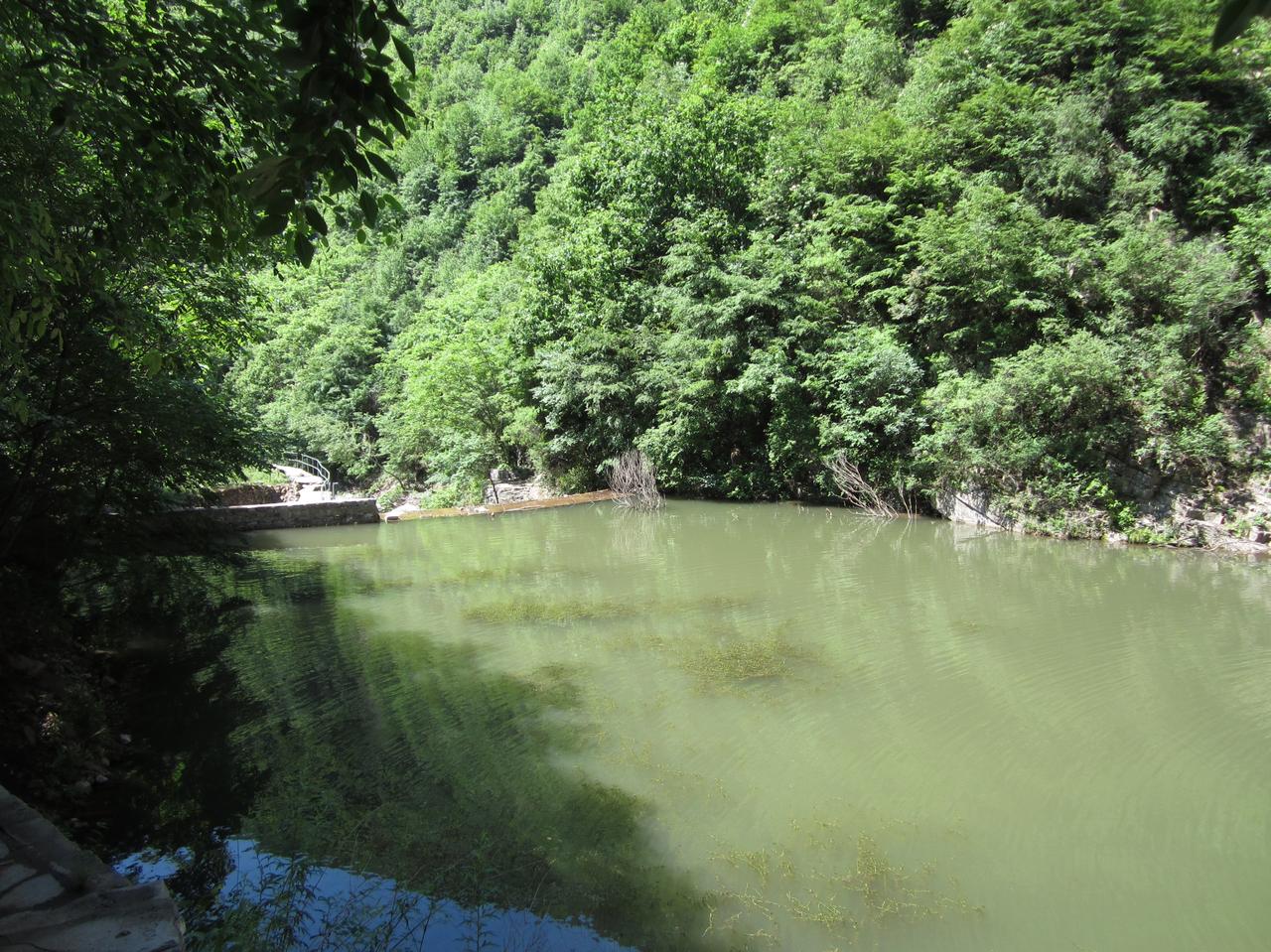 特特打关税战的时候，想收割东方，结果被东方一巴掌给扇过去，给特特打蒙了，然后特特