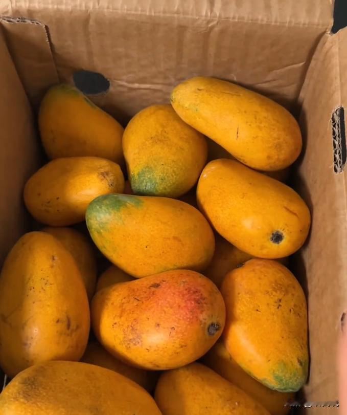 网购踩坑无数，我才发现这里面的黑幕，真的毁三观！

我今年35岁，平时上班忙，家