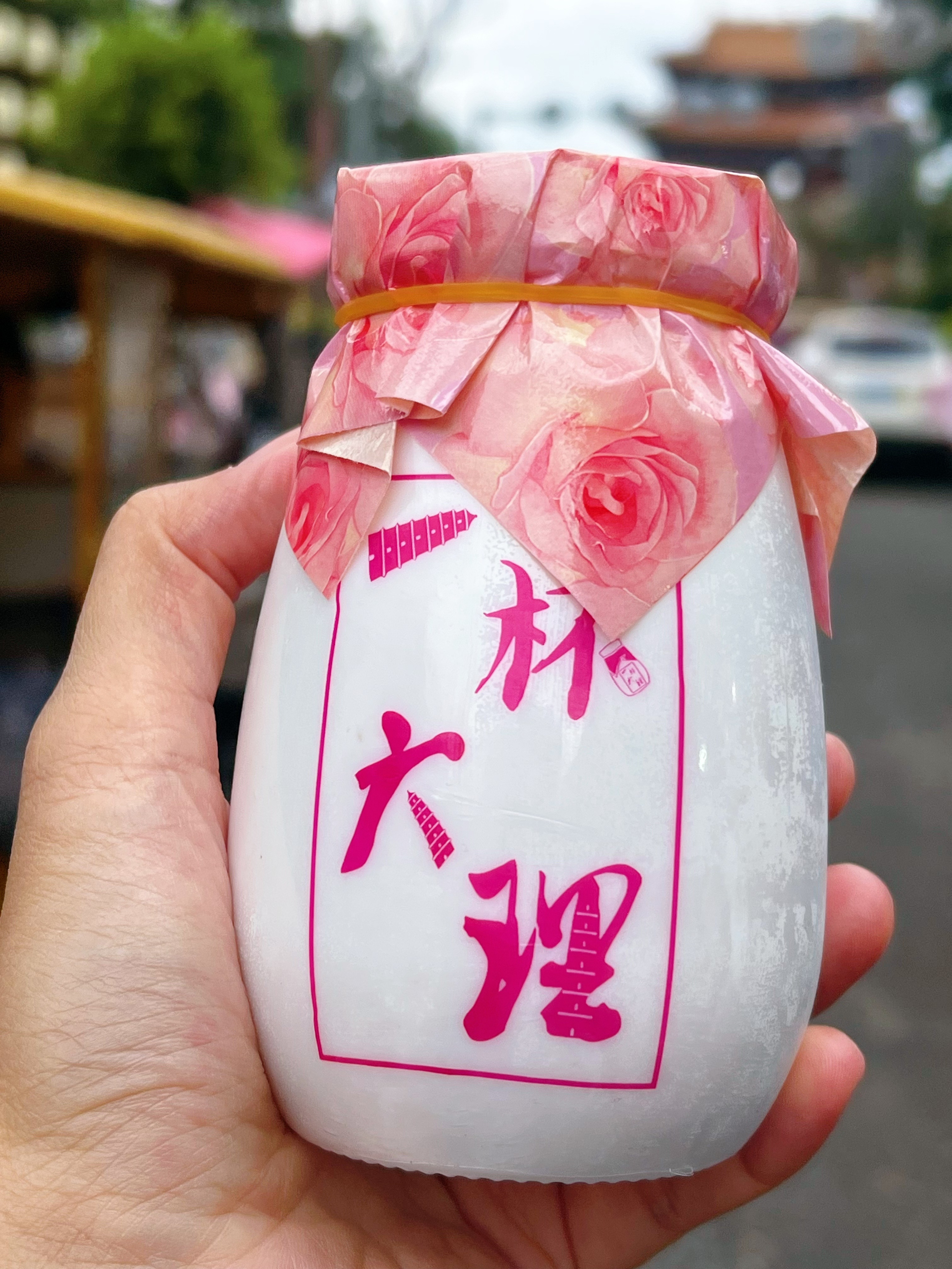 📍 𝓓𝓪 𝓛𝓲大理·洱海 风和自由更胜一筹🌸 