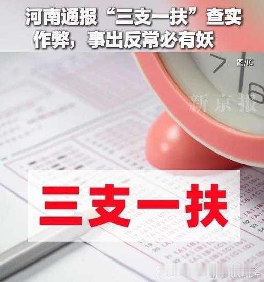 三支一扶 天才枪手照进现实 作弊毁掉的不只是一场考试，更是千千万万年轻人的信仰。