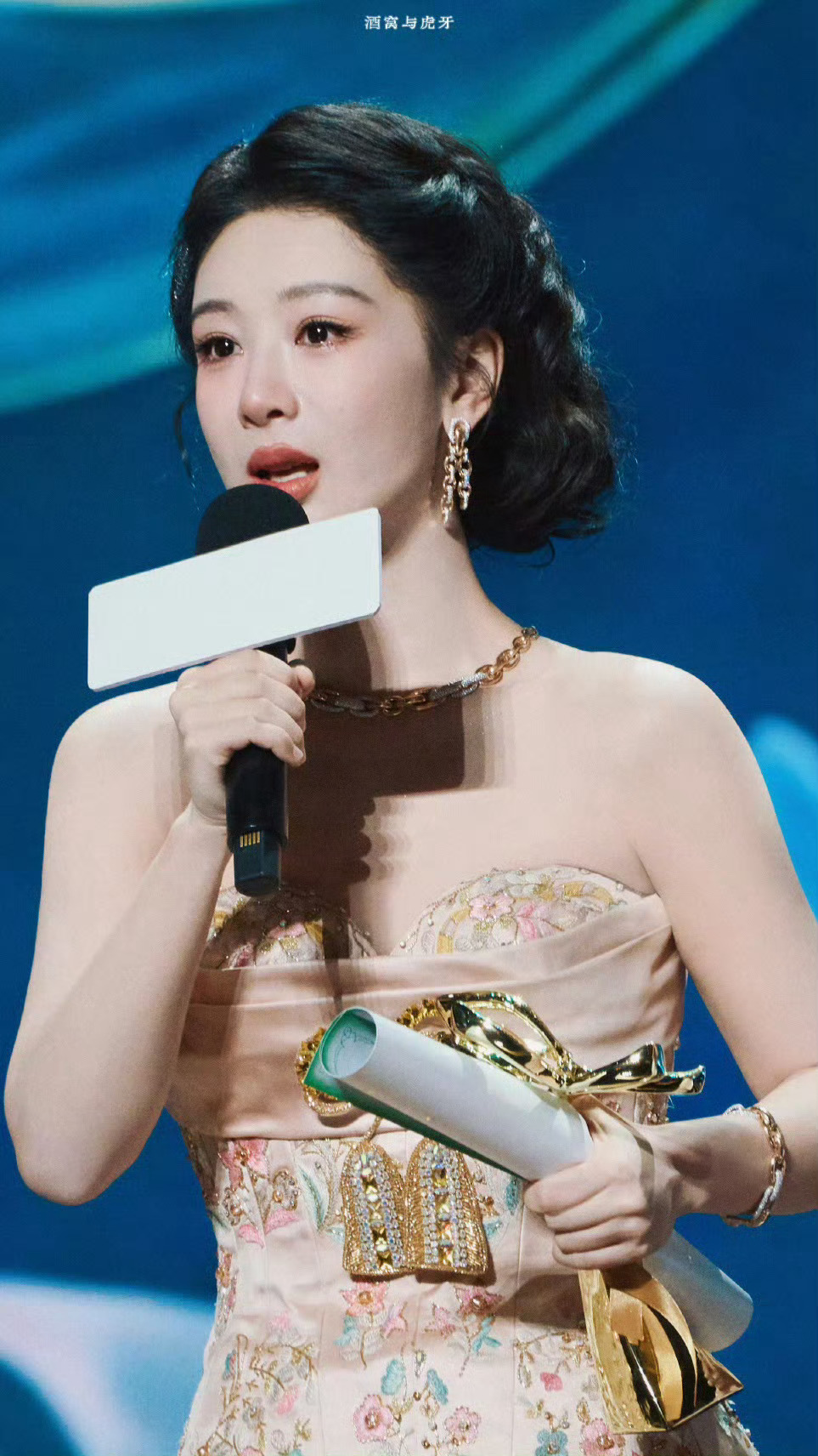杨紫捧奖杯对比图杨紫小时候捧奖杯VS长大捧奖杯年少时一腔热爱开启演艺之路，在行业