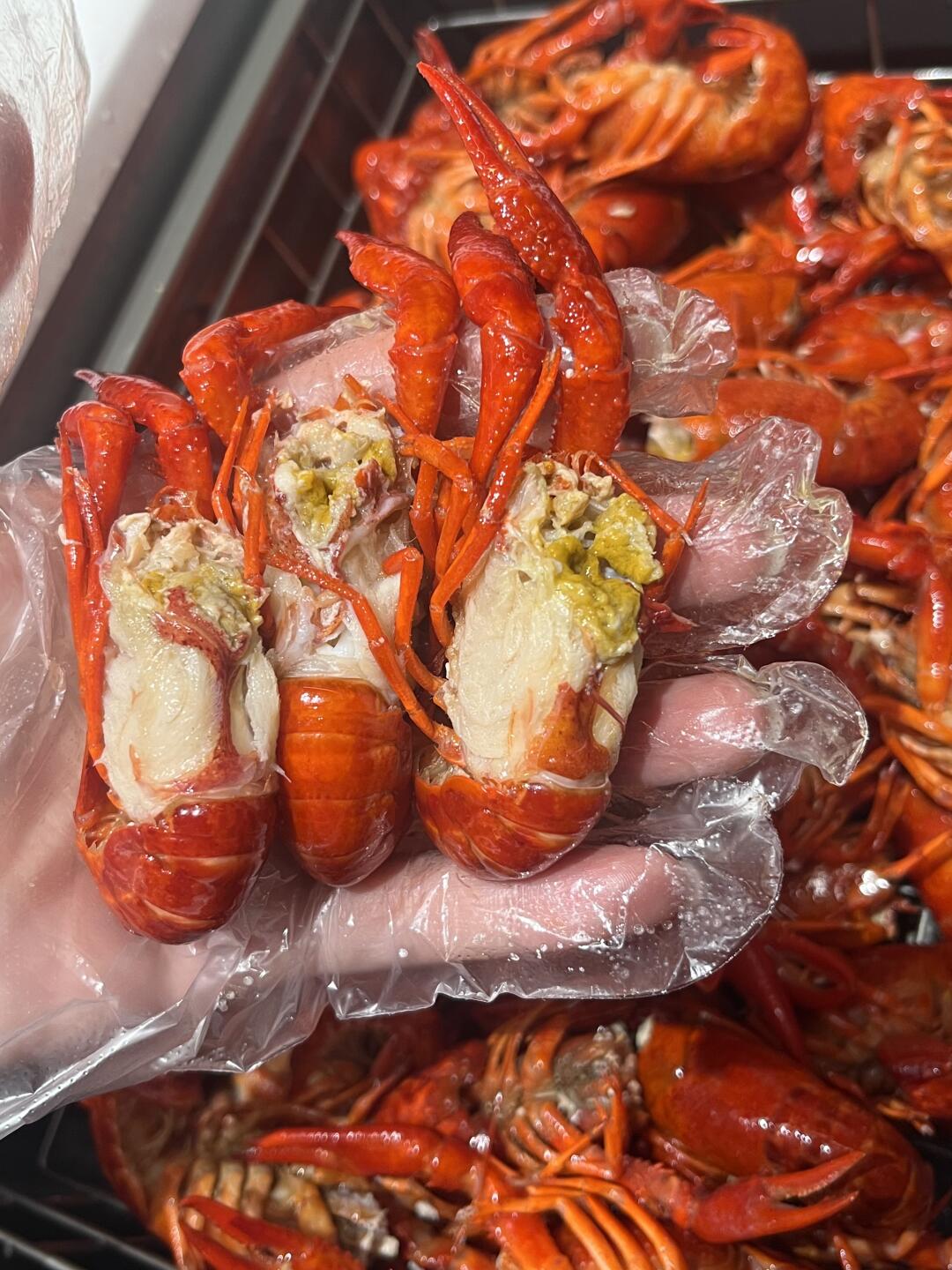 柳州｜家居博主改行做小龙虾🦞