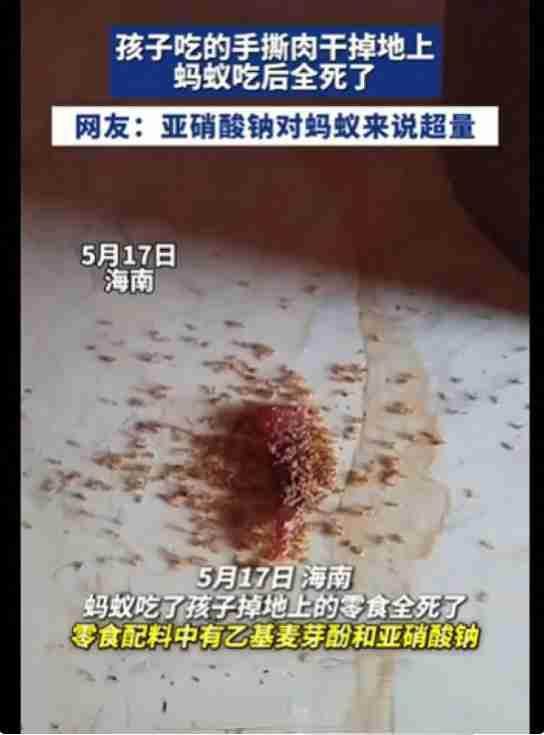 海南小孩零食掉地上，蚂蚁抢食后全部死亡！家长们可要警惕了……

最近海南有个新闻
