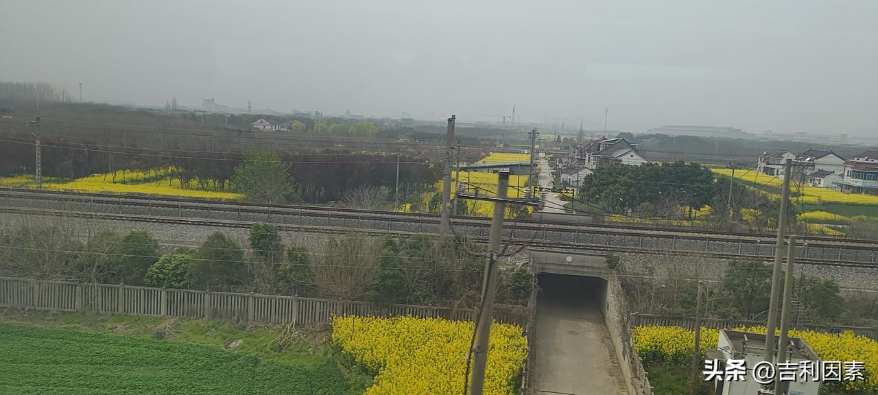 坐高铁，选靠窗的位置，可以一览窗外美景。今天从魔都乘坐高铁回老家，特意选了靠窗的