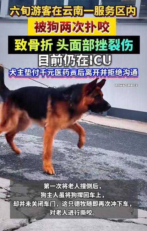 “脸都不要了！”近日报道，山东籍女子一家到云南旅游，在服务区休息时，60多岁老母