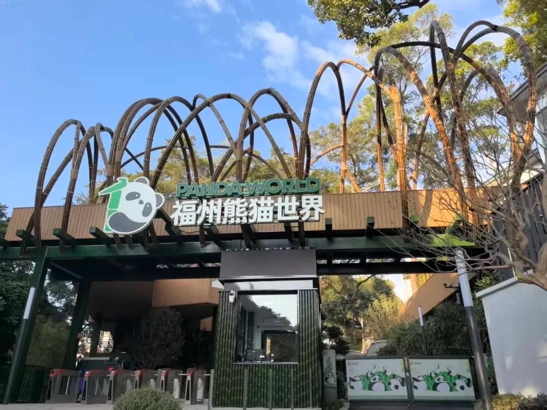 终于官宣啦，5只宝贝熊猫来福州啦！！！

日前，熊猫世界二期已正式通过验收！而成