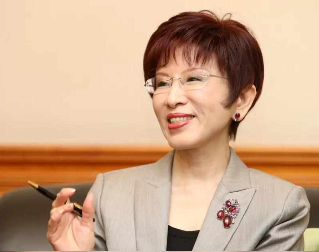 民进党 “追杀令” 照出原形！
国民党谁怂谁刚？
洪秀柱一人撑脊梁

洪秀柱还是