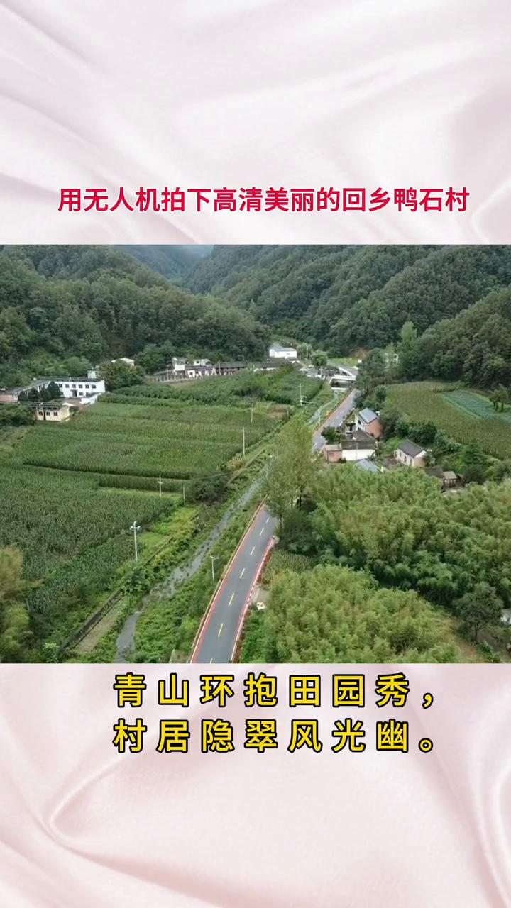 用无人机拍下高清美丽的家乡鸭石村。
青山环抱田园秀，村居隐翠风光幽。