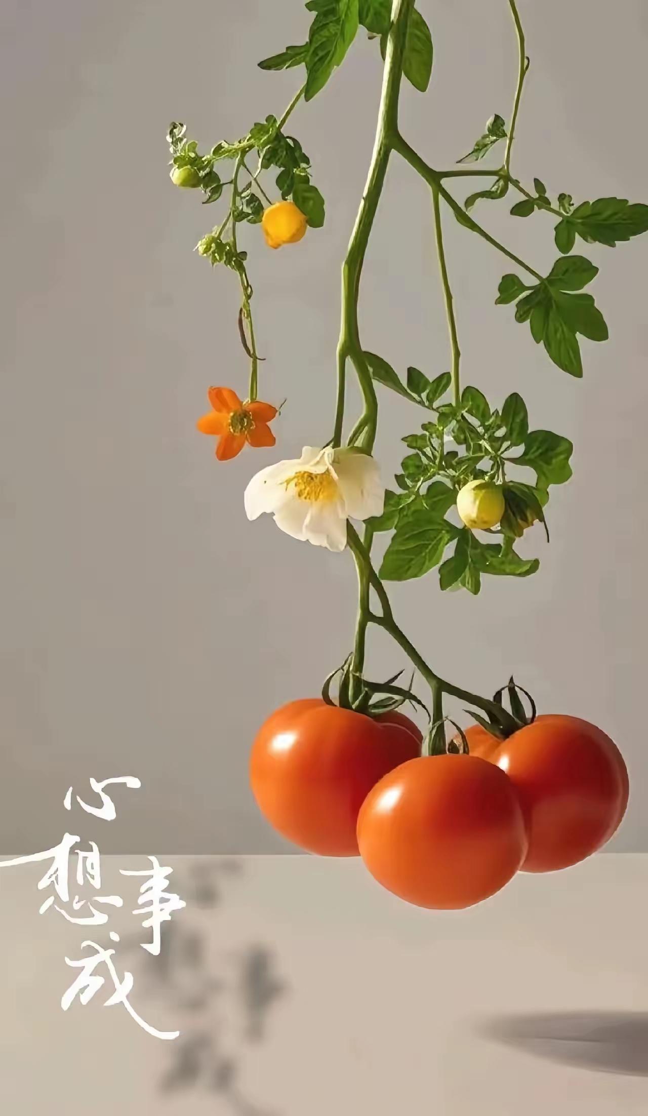 今天去参加一位前同事父亲的葬礼，遇见了好几个昔日的老同事，大伙瞧着都显老了。不是