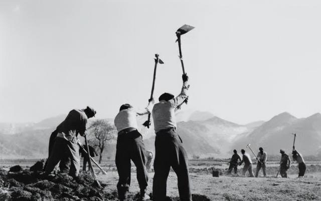 1962年春，国民经济困难未解，百姓生活清苦。徐向前刚从广州返京，家中突现一盘咸