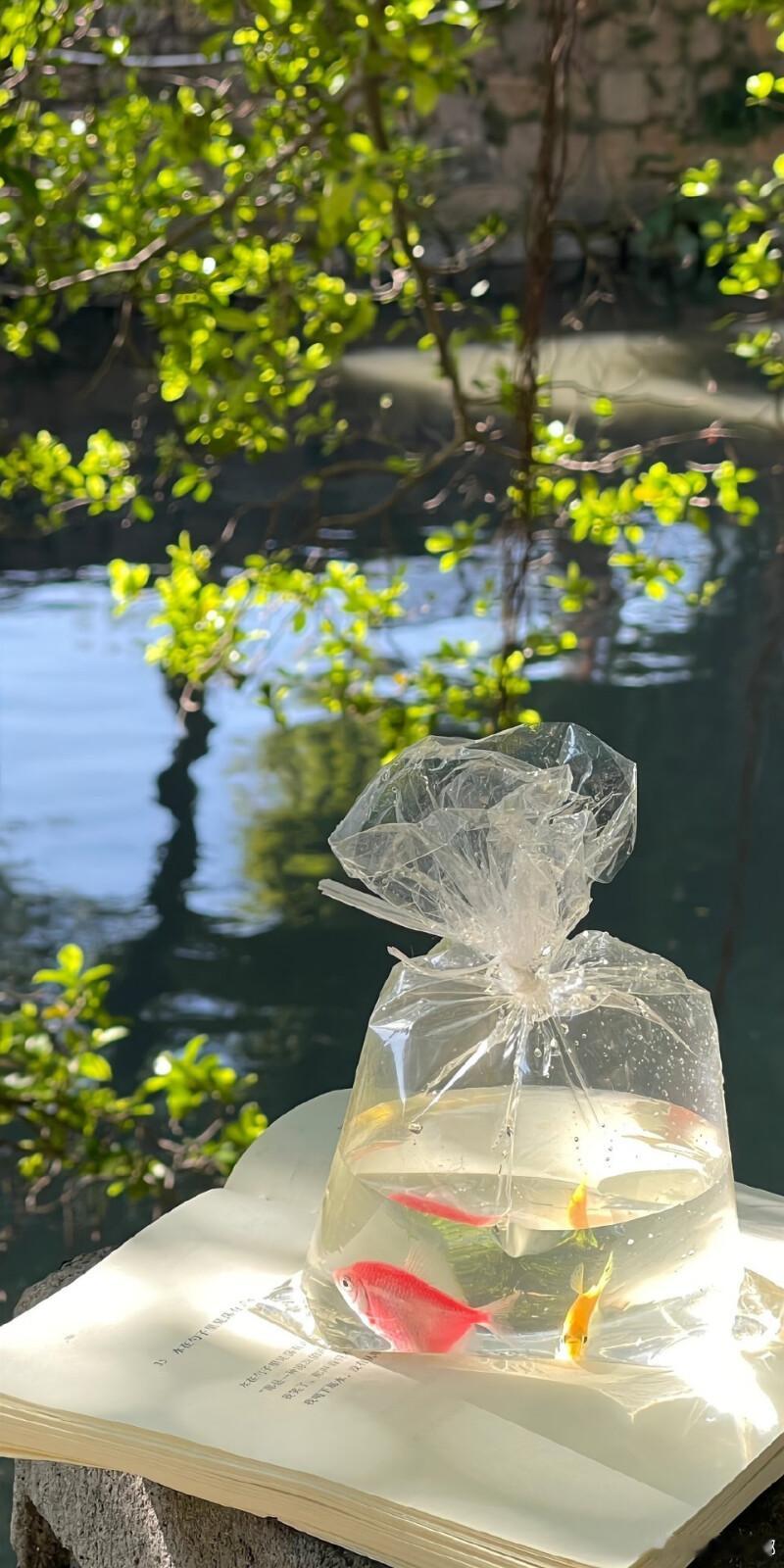 双鱼是全星座最会“读空气”的天才。你嘴角抽动一下，ta就知道你是不开心还是牙痛。