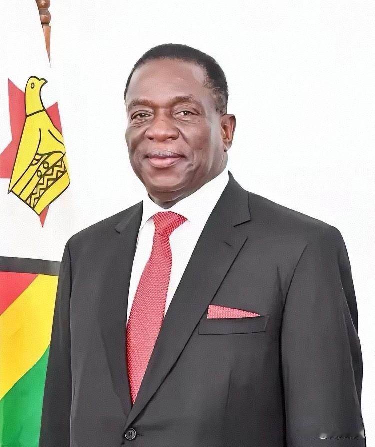 前脚巴拿马不顾中方反对，强行接管了巴拿马港口，后脚津巴布韦突然宣布暂停锂矿出口。