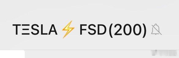 目前特斯拉FSD的专属群已经超过200人(全部验证买断FSD)后续如果再加进来的