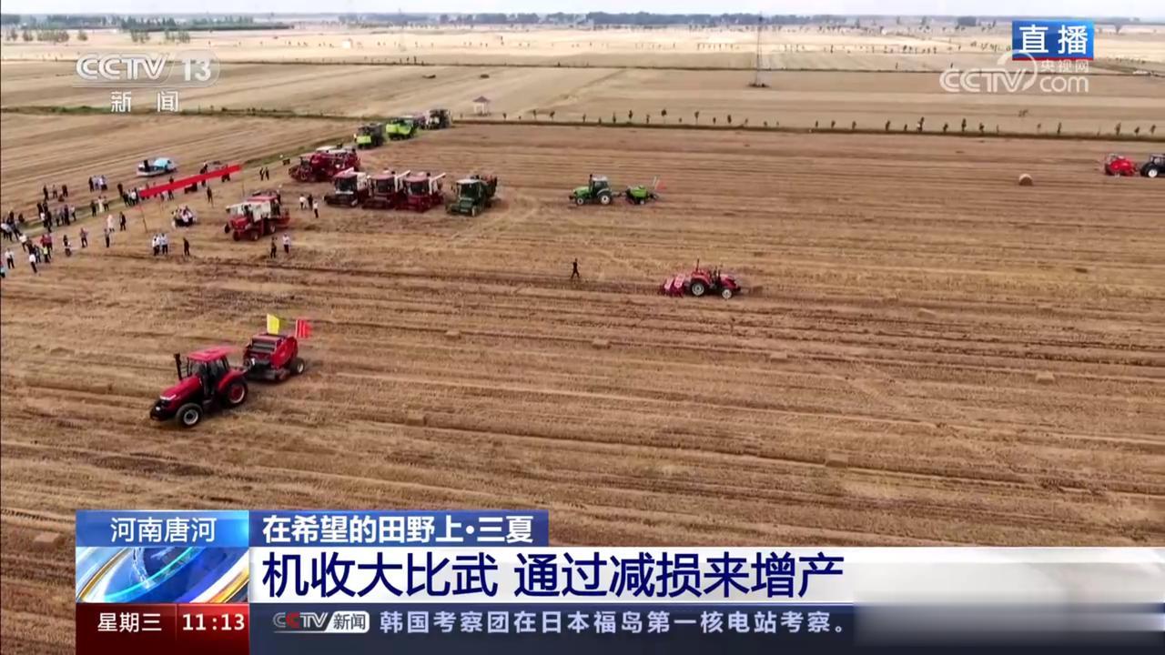 从产量上看，南阳小麦的收割，足以影响到全球人类。
整体而言，河南省小麦产量占全国