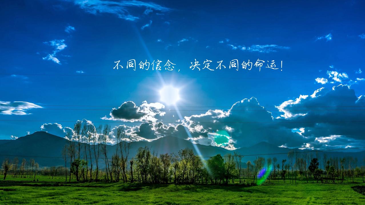 我的2025年度总结时序更替，2025已至尾声。这一年有拼搏的汗水，也有沉淀的智