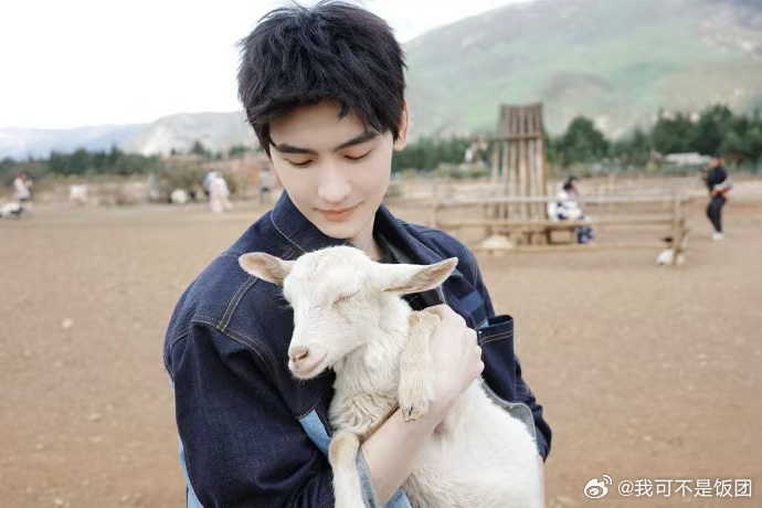 黄俊捷抱羊合照黄俊捷和小羊合照这画面也太干净美好了！少年温柔，小羊软糯，黄俊捷这