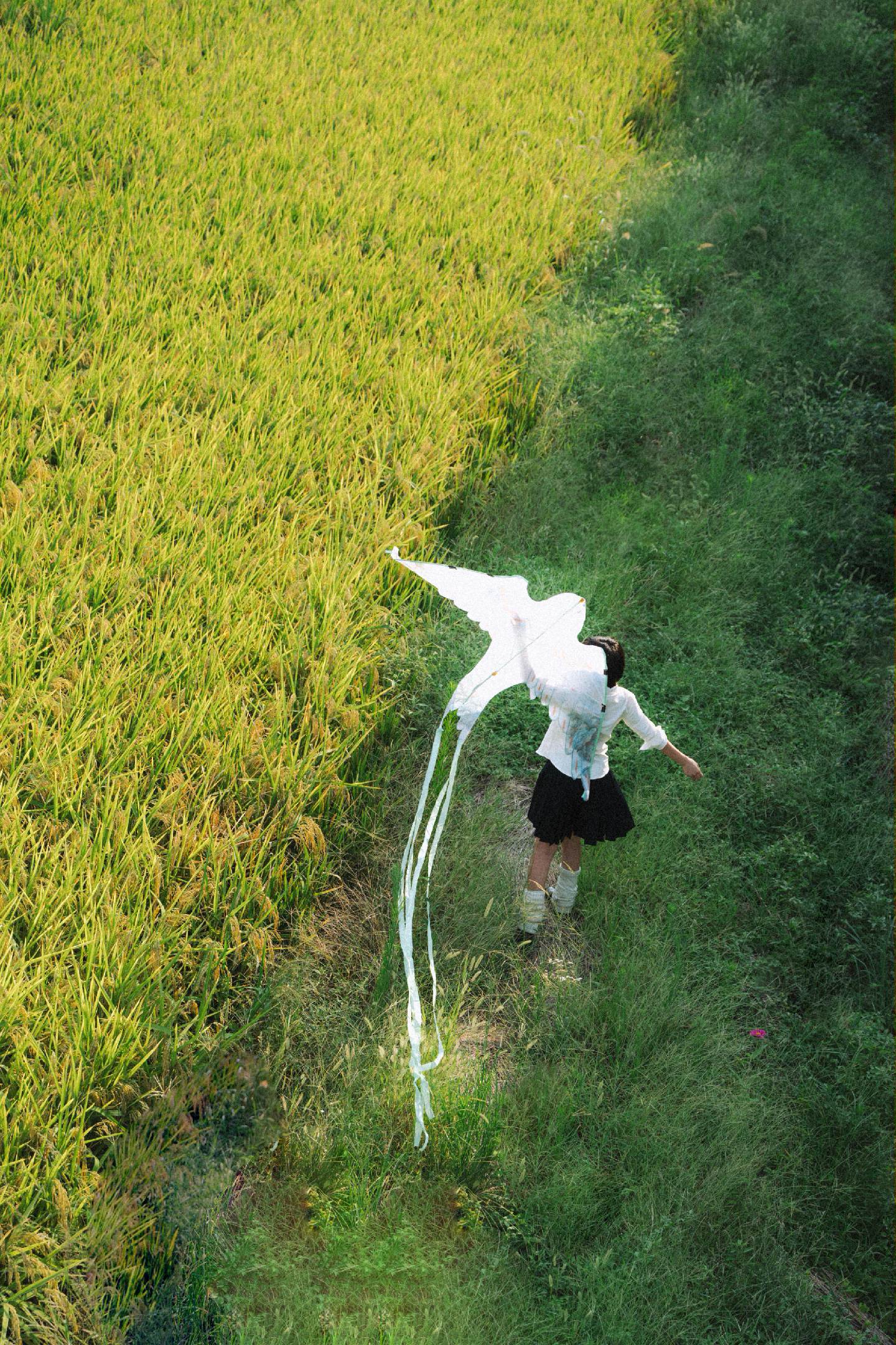 人类，学不会飞翔。但却很容易堕落。 📷 &