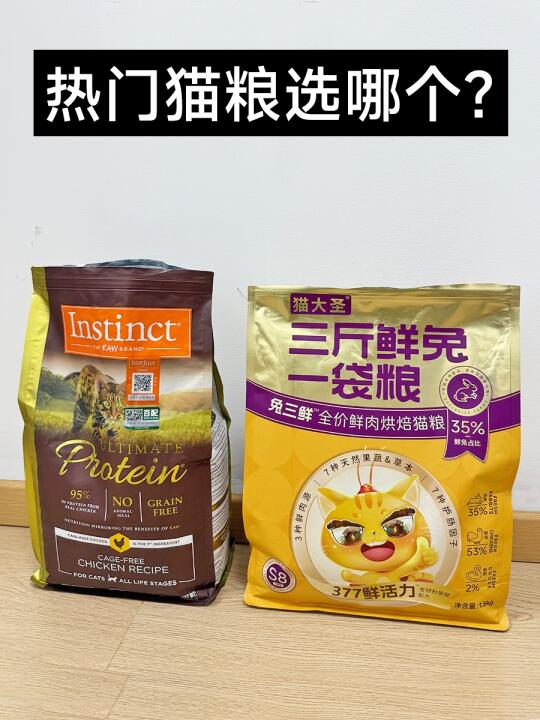 好焦虑!刚接回家的小猫应该吃什么猫粮？