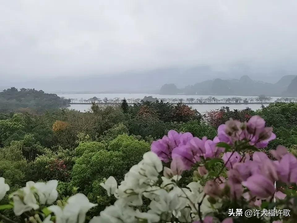 星湖烟雨寄股市愁怀
 
烟雨锁星湖，
股海一叶孤。
红绿皆如梦，
独钓待春苏。