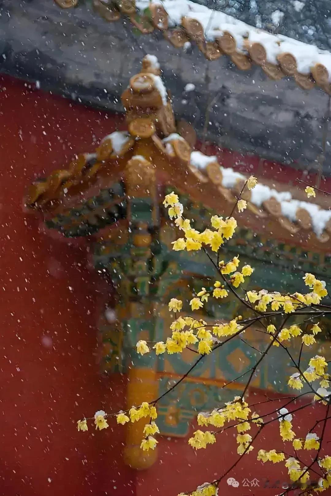 常见容易读错的字词：
1、掖着（yē zhe）
2、怜悯（lián mǐn）
3
