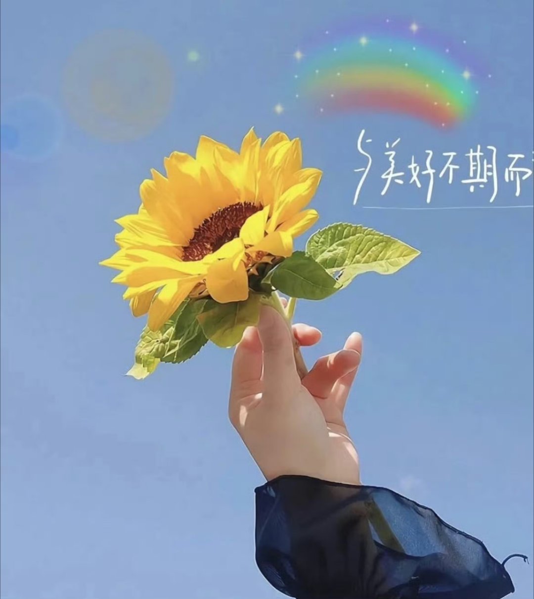 心有阳光，一路芬芳，心中有景，花香满径。新的一天，愿你乘风破浪，让自己闪闪发光。