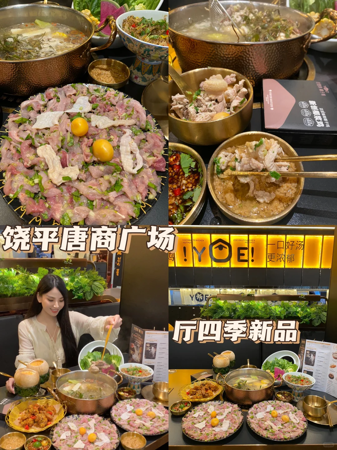 脆皮鸡的扛把子