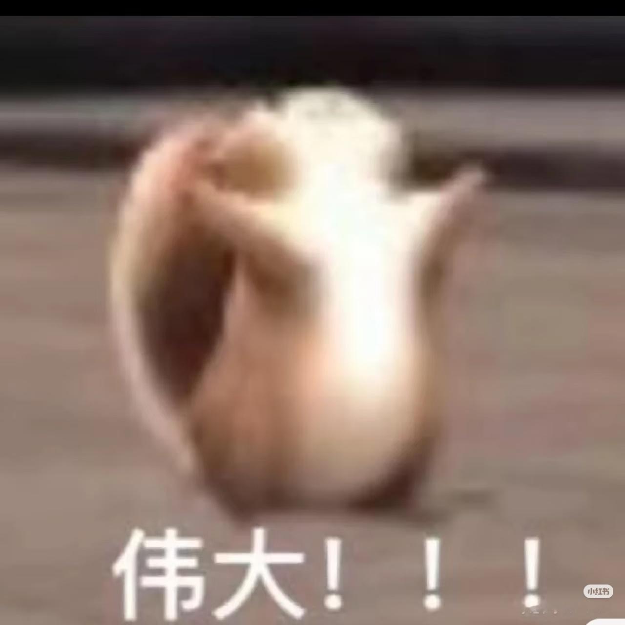 今天壬务完成量:12个账皓共计15个作品灯姐伟大！ 
