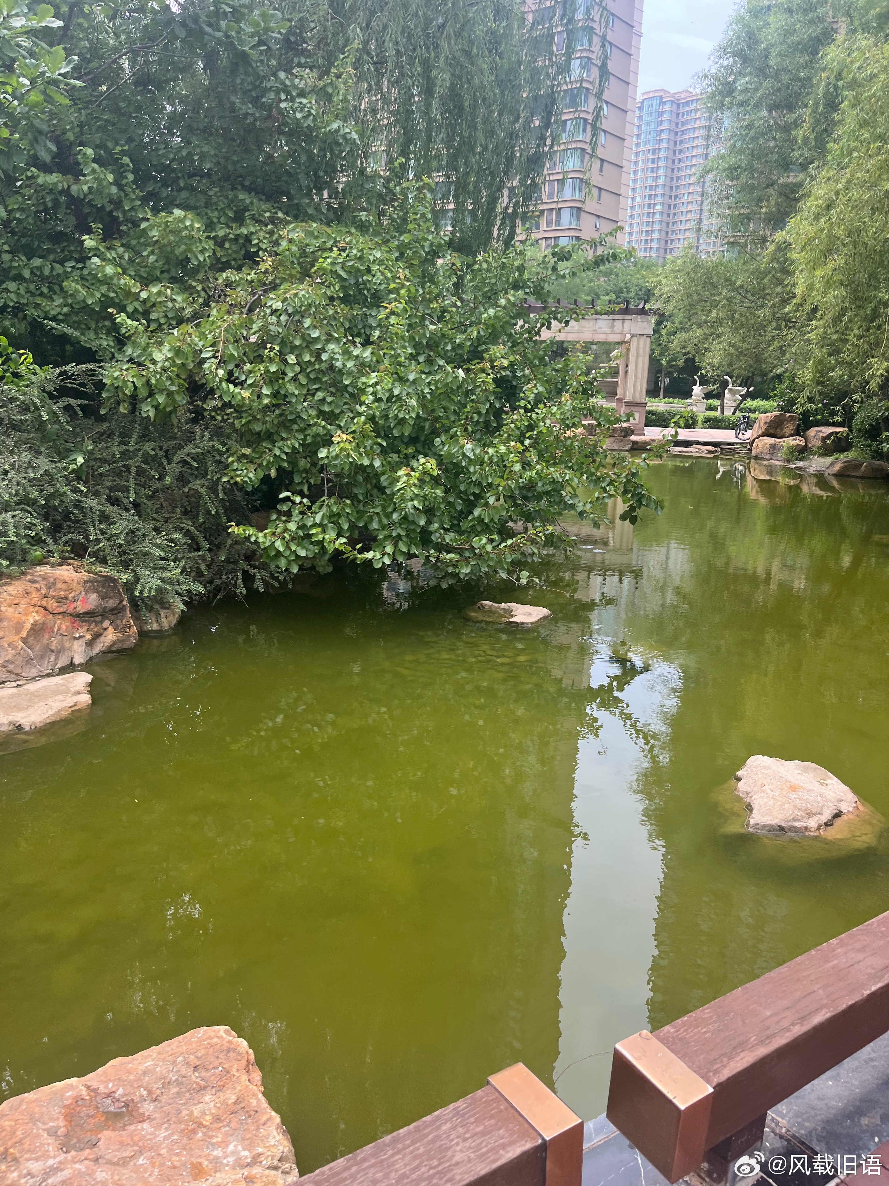 有的事只有时间里才会有答案很多事你急不得也教不会人的经历有时胜过所有的道理 