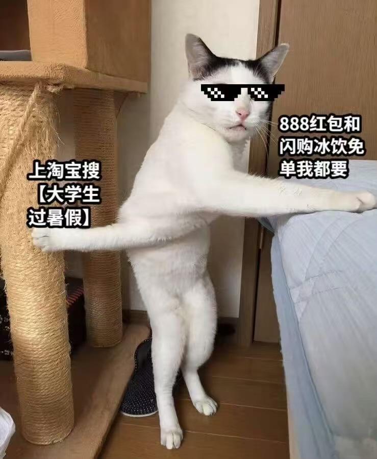 大学生无限派对大学生暑假档之大宅门刚回家时是“宝”，三天后是“草”前半段忙着赴不