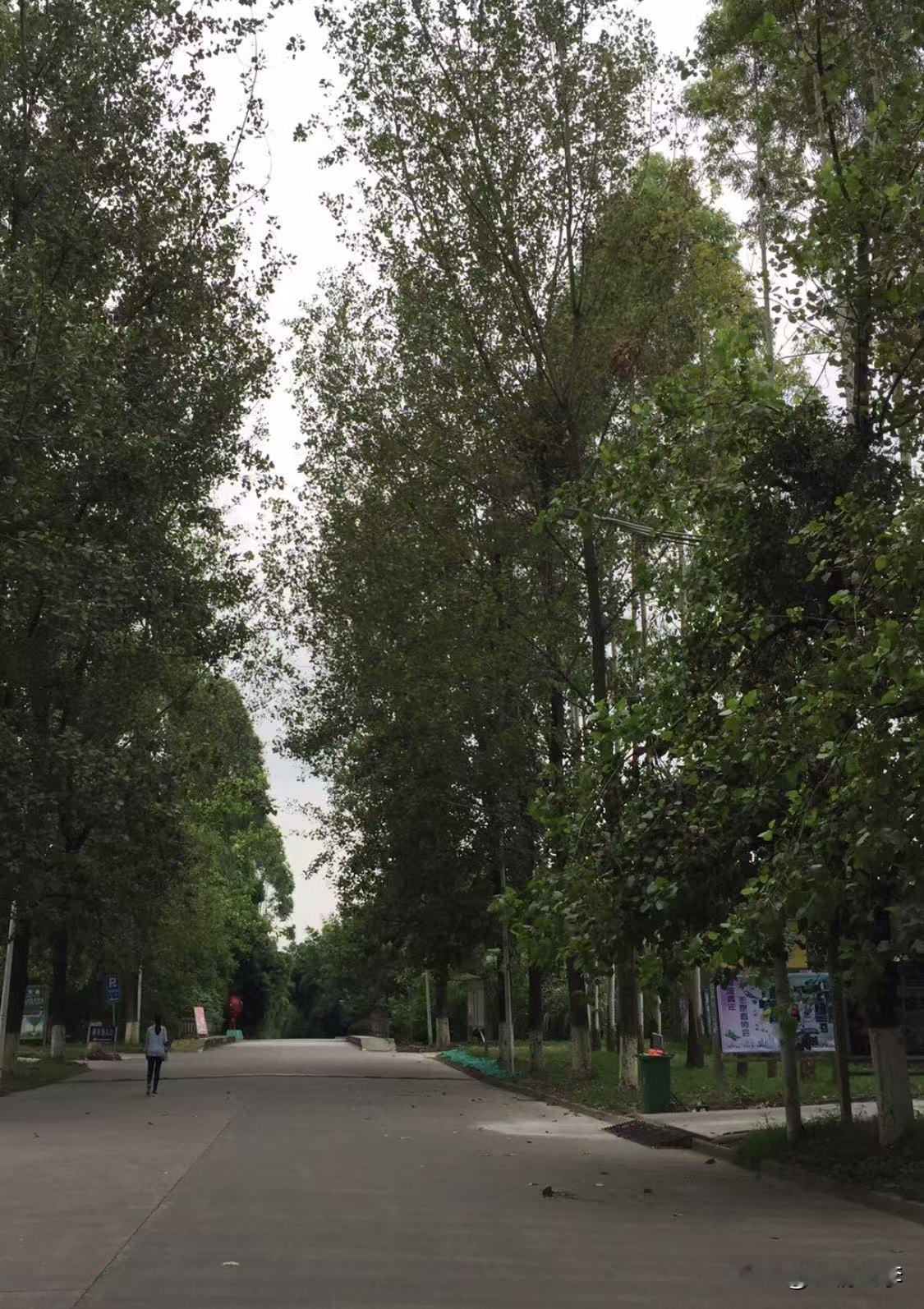 我楼上的阿姨分享了她很多生活中省钱的招数。

比如：

一，从不花自家的钱在外面