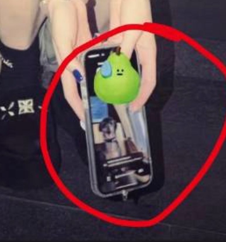 还放了🍐的emoji。 ​​​
