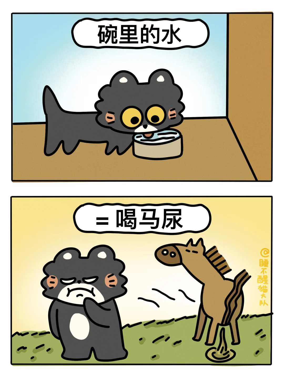 猫猫眼中的食物等级