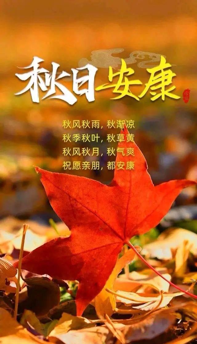 天凉好个秋，一起拾秋去

[玫瑰][心][玫瑰]

拾秋，是一种心境，更是一种珍