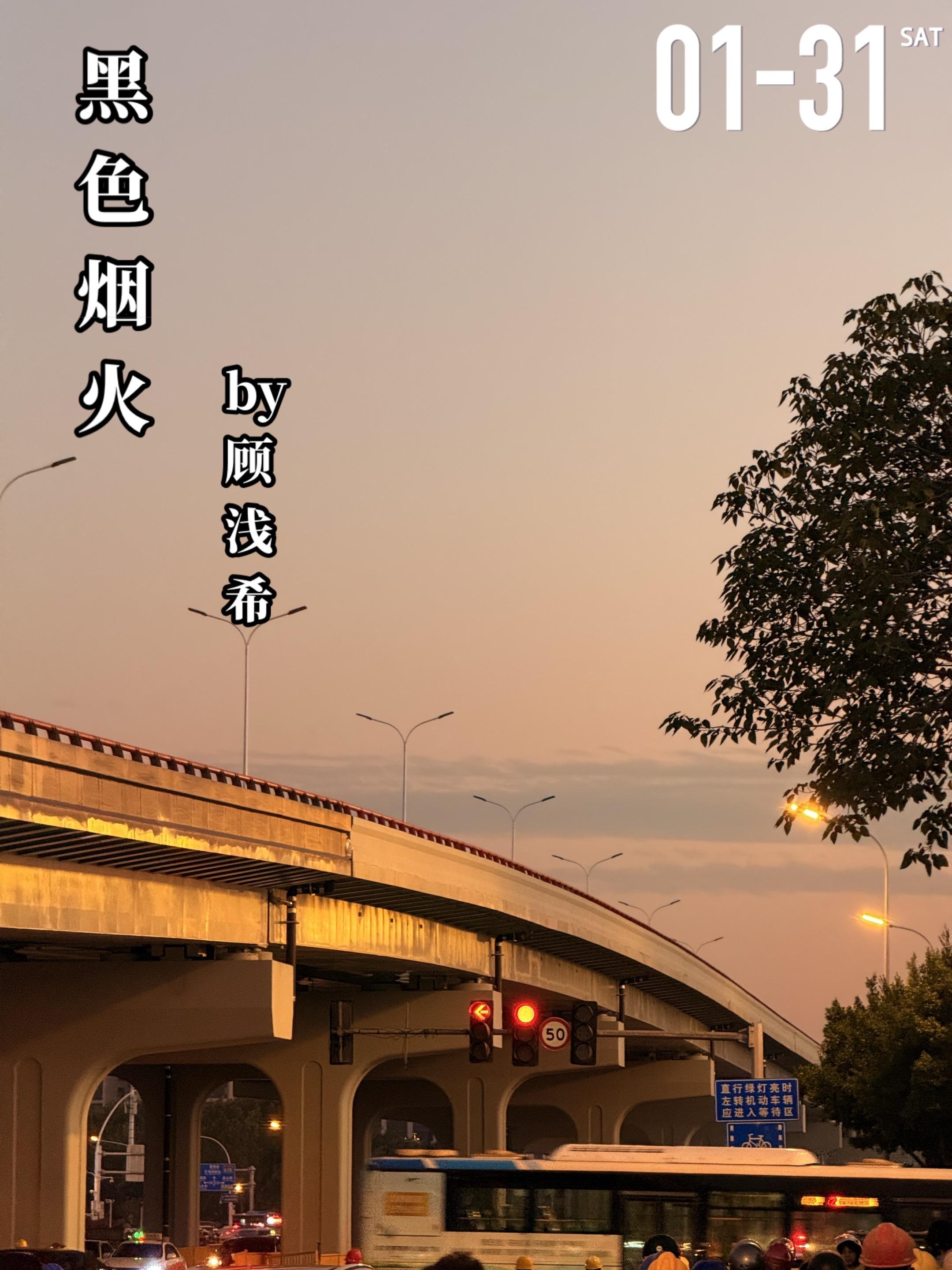 《黑色烟火》by顾浅希。童年时期的一次意外，叶长安（女主）留下了严重的...
