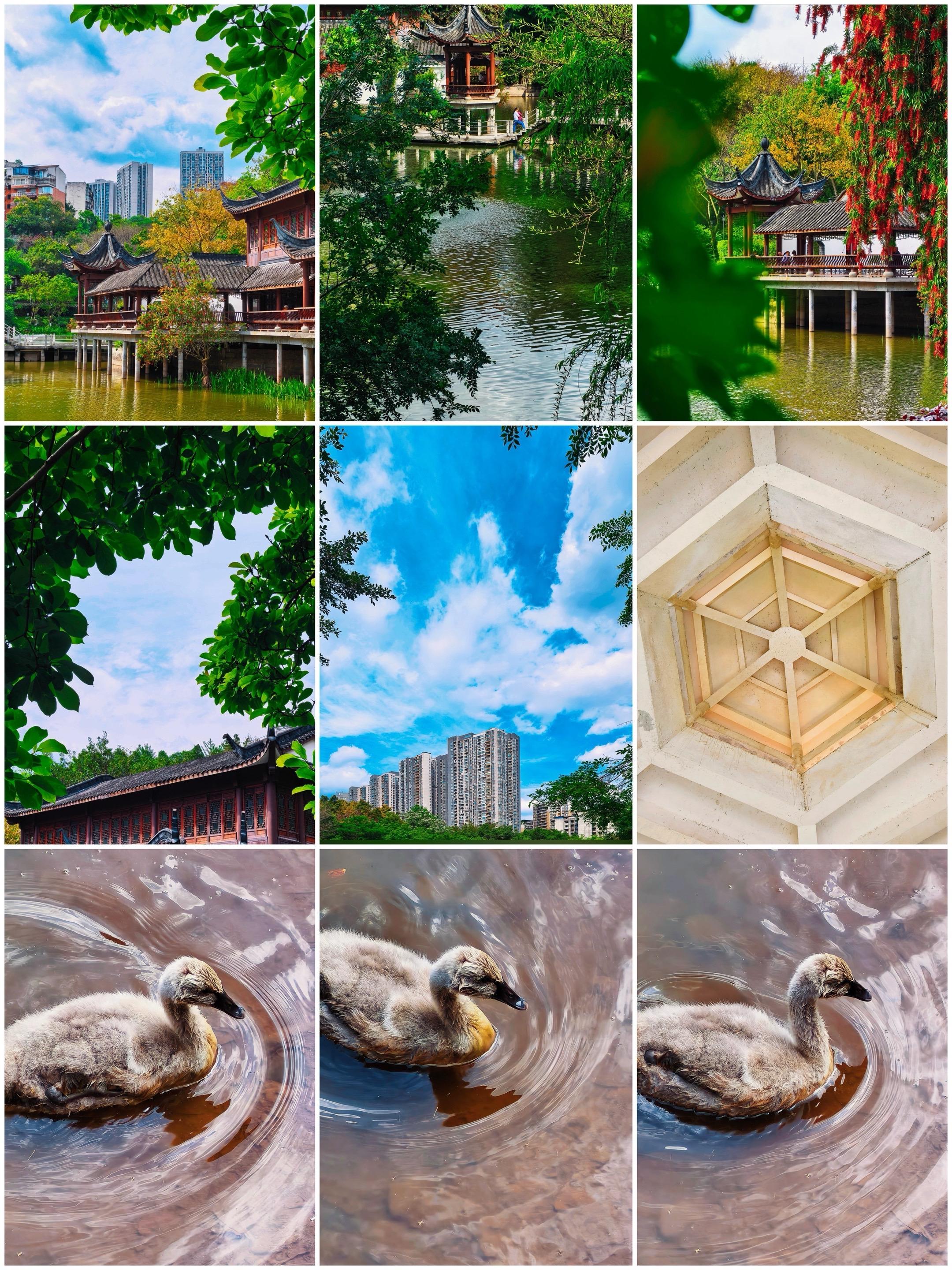 重庆大石坝的石门公园，这地方太会藏了，古亭浸着水的柔，新中式的檐角蹭着...