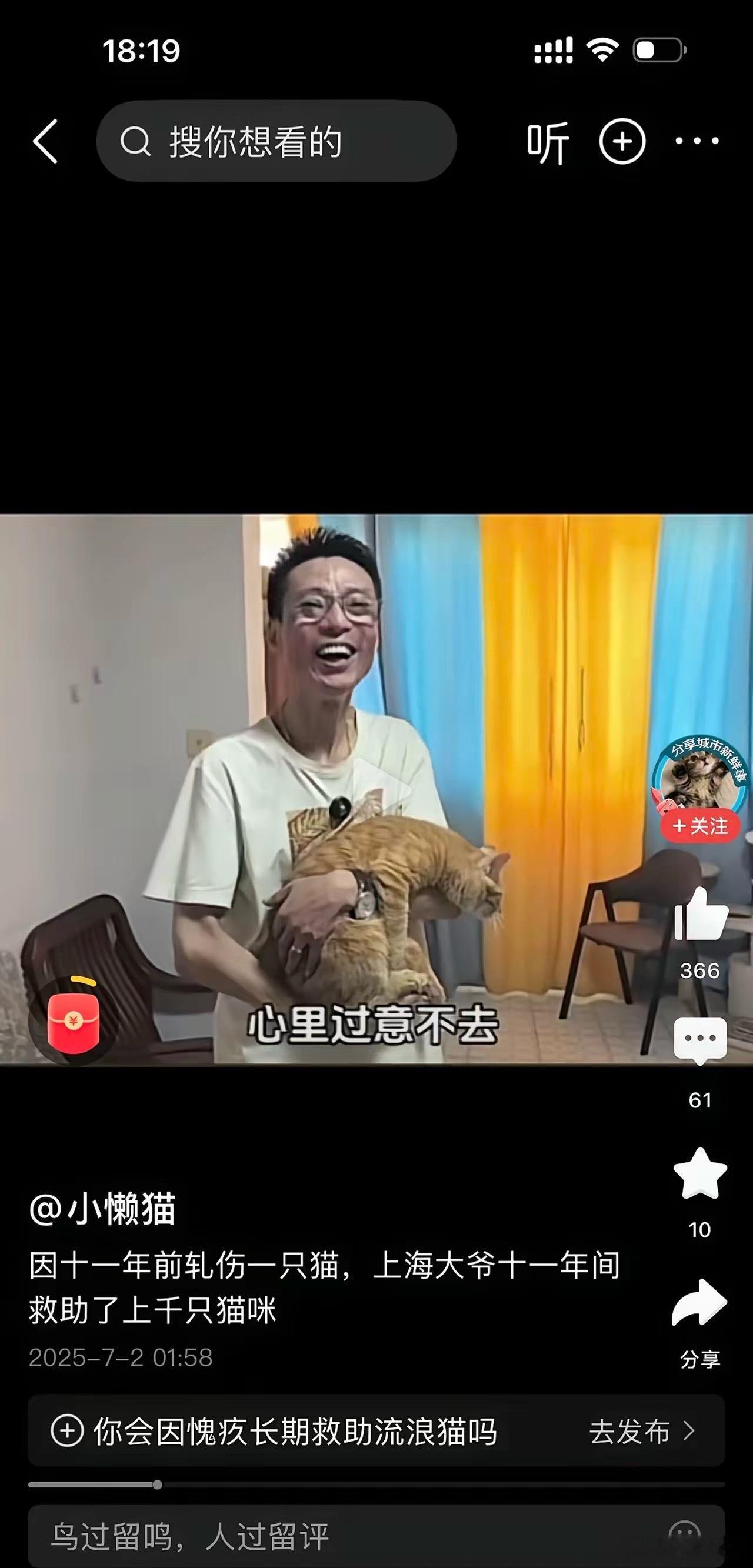 上海一位大爷每天花八九个小时跑遍全上海投喂流浪猫，连抽烟的时间都没有，把全上海的