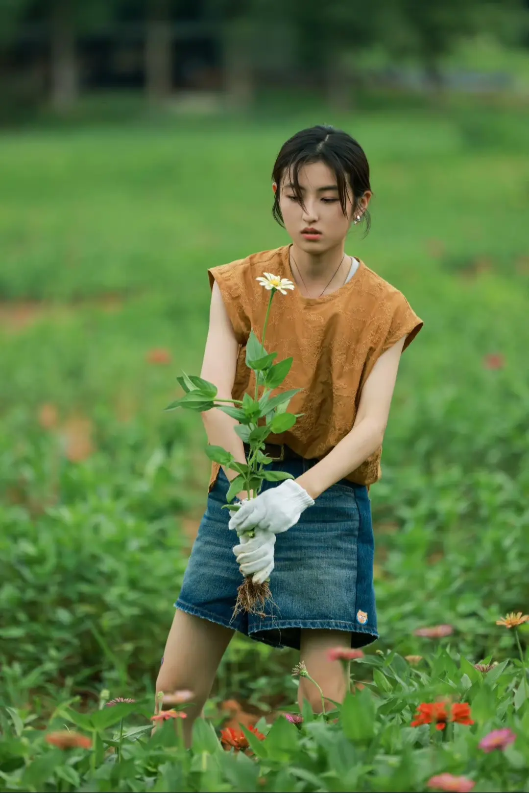 枫与花🍁🌻。偷走花的影子