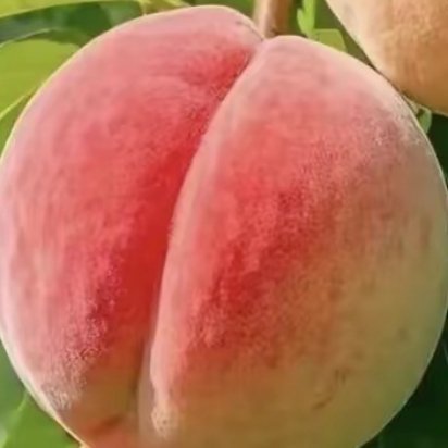 改变吧，奋斗吧，努力吧，做好人生的自己，付出感动的心灵，一切的一切，都会改变，一