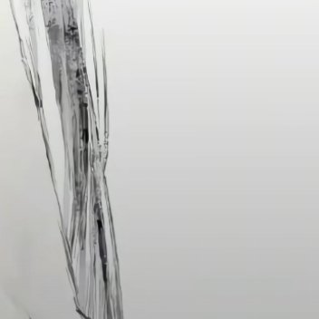 0000苔藓爬满老墙，不与鲜花争艳，却在潮湿处活成了自己的春天。平凡的生命，也能