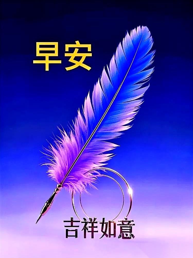 朋友圈的早安，真是越来越卷了。
配图要精致，文案要高级，恨不得每个字都闪着金光，