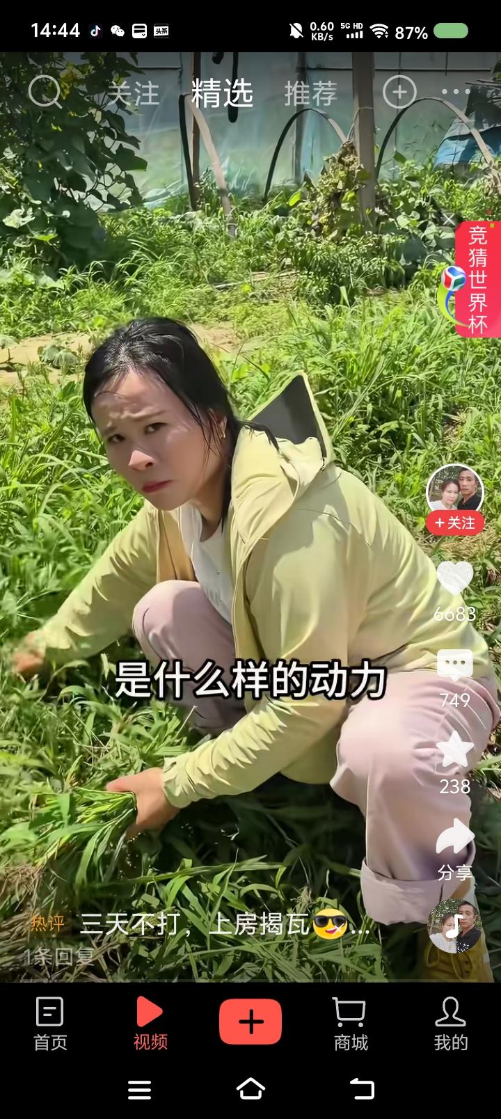 女汉子“拳打”“懒丈夫”——
网上视频：“媳妇，为什么大中午拔草？是爱吗？是责任