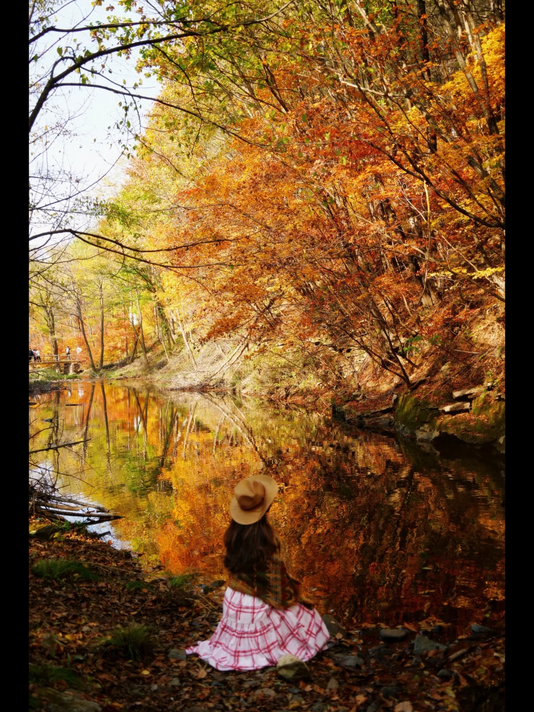 没在日本🍁 绝美枫叶季在本溪