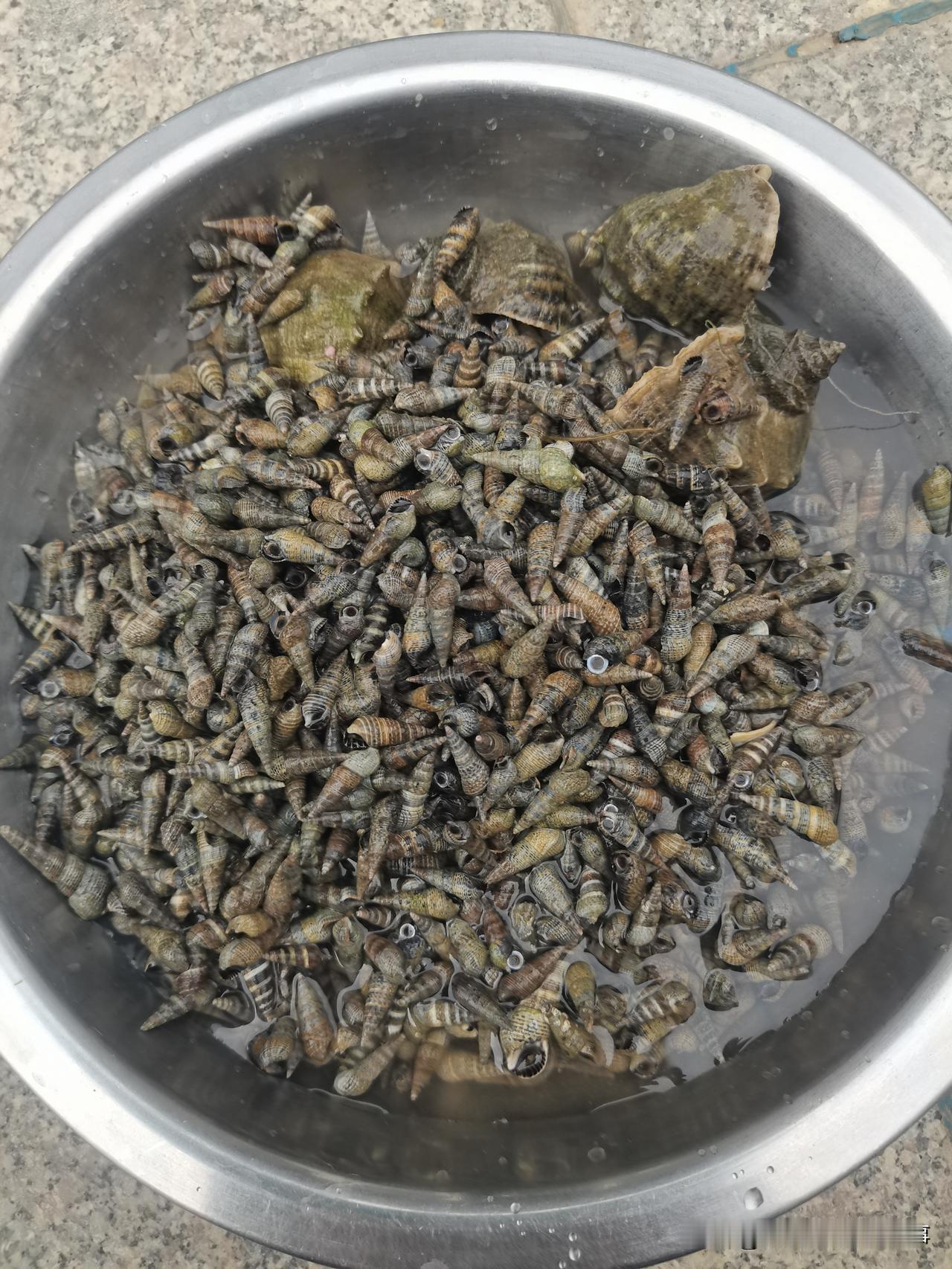 这东西一辈子不吃我都不想！
太费牙！
现在上岁数了，本来就牙口不好，牙都不坚固了