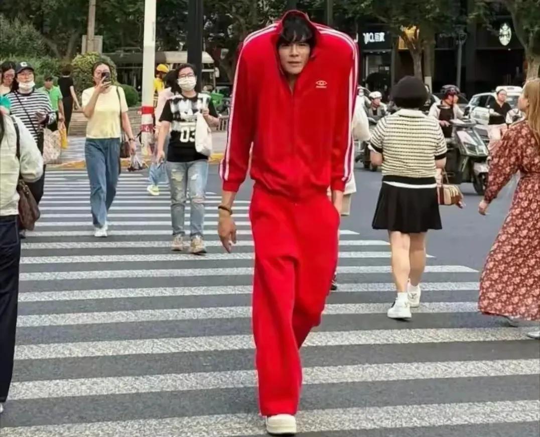 要不就回家继承家业吧！
别人都是靠作品爆红和维持热度，而向佐是一直靠奇装异服，这