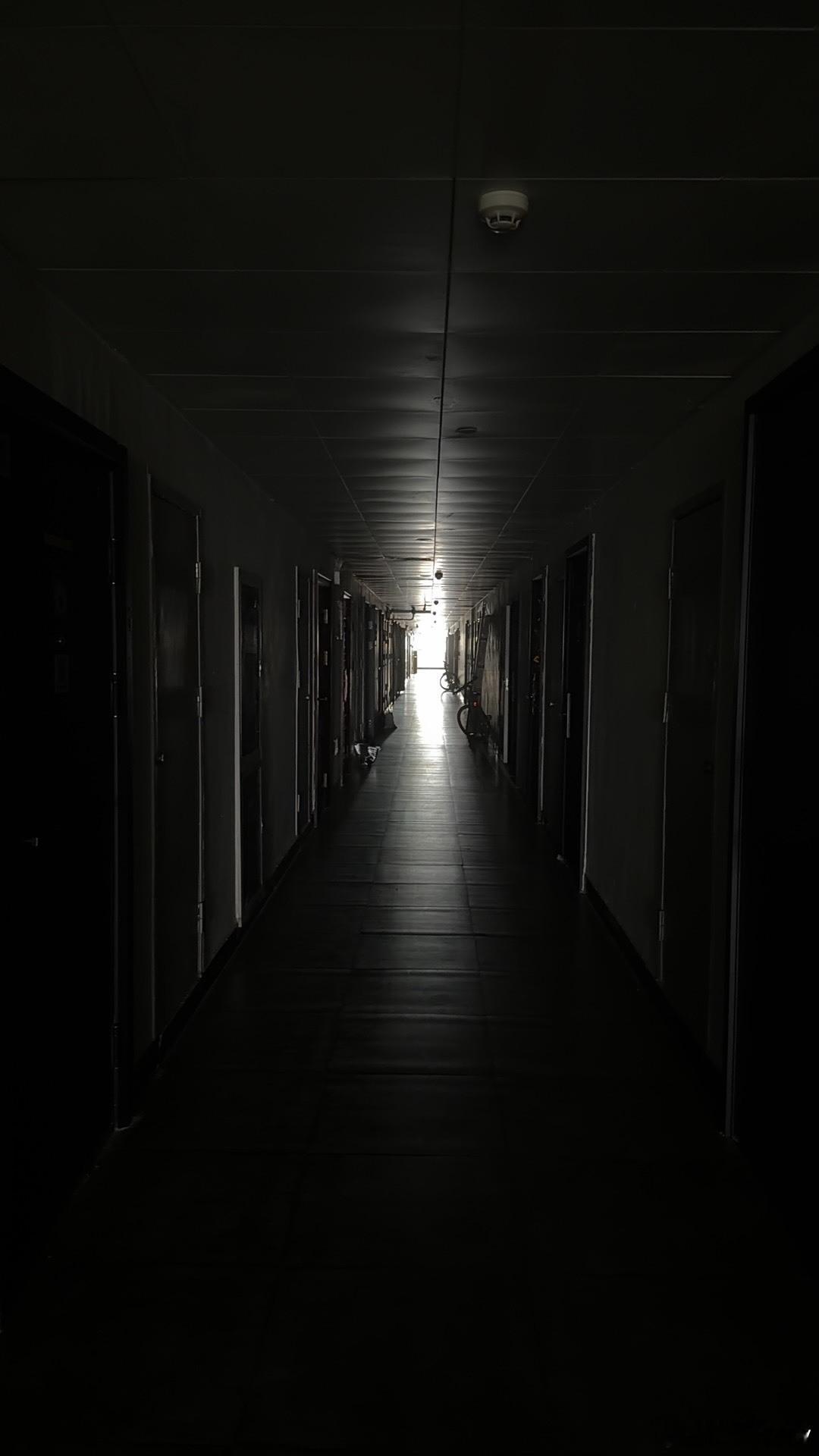 沉浸式黑夜降临。漆黑的夜里一对情侣敲我的门，没光伸手不见五指……应激反应让我想上