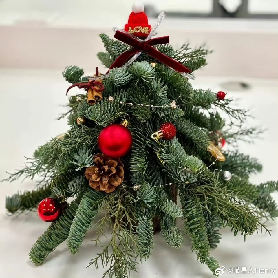 原来圣诞树真的可以种出来 这个圣诞树🎄和院子好搭哦，真的是可可爱爱的[爱慕][