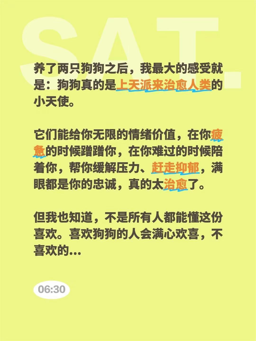 养了两只狗狗之后，我最大的感受就是：狗狗真的是上天派来治愈人类的小天使。 它们能
