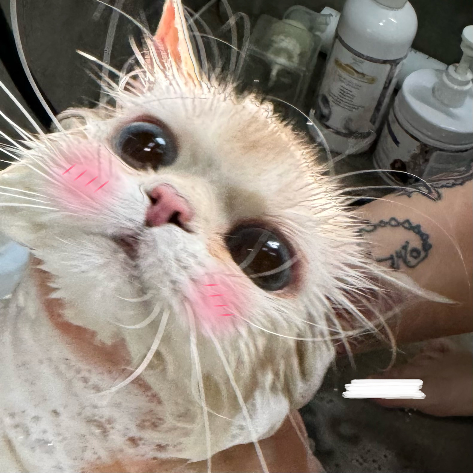 我的🍅宝真的好适合怼脸拍哦为什么生完孩子反而看起来更嫩了呢🥰#金点##金点色