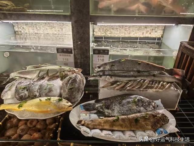 在青岛，惬意的周末标配，当然是安排上一桌鲜活深海海货，今天新鲜渔获刚上岸，几款硬